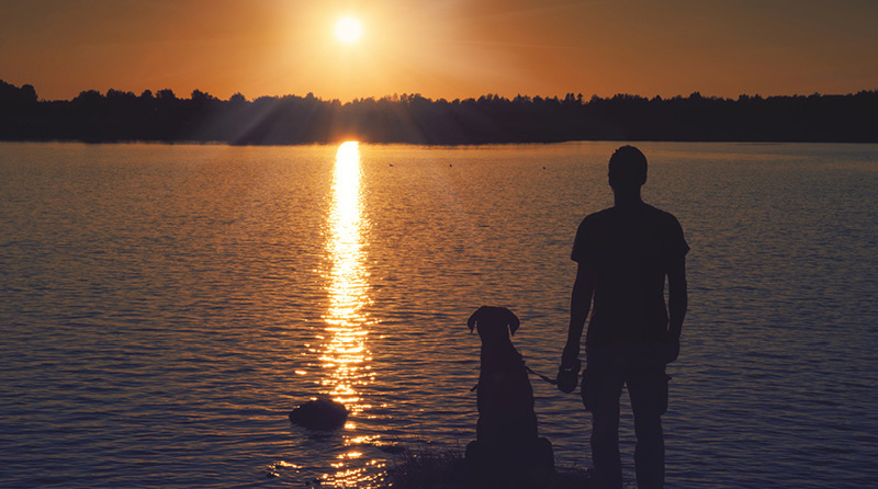 Man and Dog at Sunset